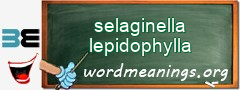 WordMeaning blackboard for selaginella lepidophylla